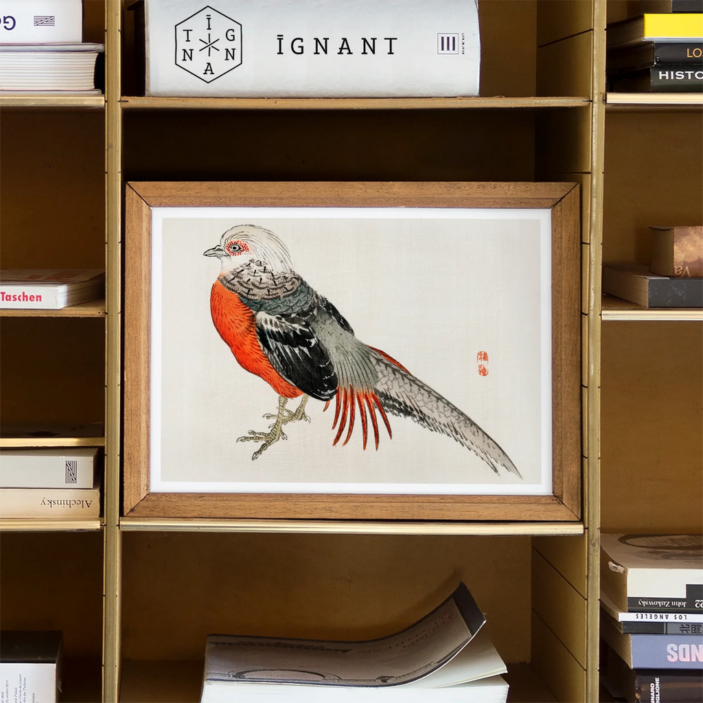 Framed Kōno Bairei bird art print by Taguchi Tomoki for history nerds