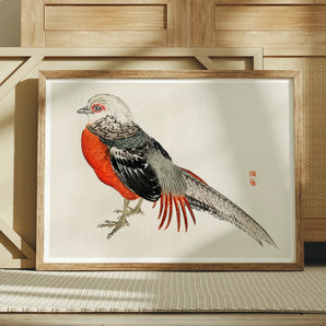 Japanese Pheasant - Kōno Bairei Kacho-e Bird Art Print, Framed Watercolor Painting Pheasant Red Breast Feathers Gray-speckled