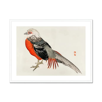 Japanese Pheasant - Kōno Bairei Kacho-e Bird Art Print, Red-breasted Pheasant Gray Black Feathers Traditional Japanese Art