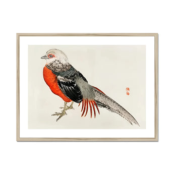 Japanese Pheasant - Kōno Bairei Kacho-e Bird Art Print, Red-breasted Pheasant Gray Black Feathers Traditional Japanese Art