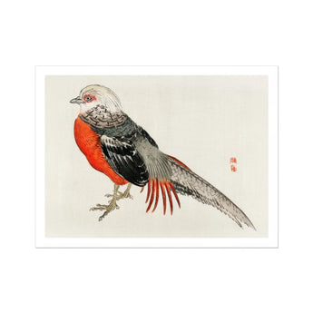 Japanese Pheasant - Kōno Bairei Kacho-e Bird Art Print, Red-breasted Pheasant Gray Black Feathers Traditional Asian Art