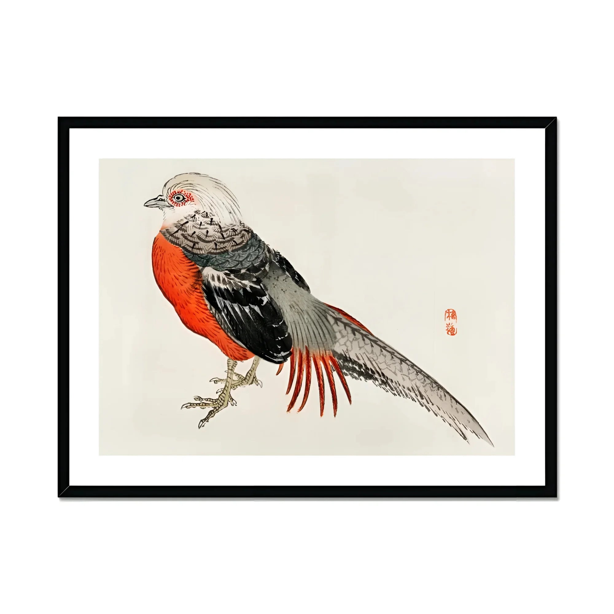 Japanese Pheasant - Kōno Bairei Kacho-e Bird Art Print, Red-breasted Pheasant Gray Plumage Distinctive Tail Feathers