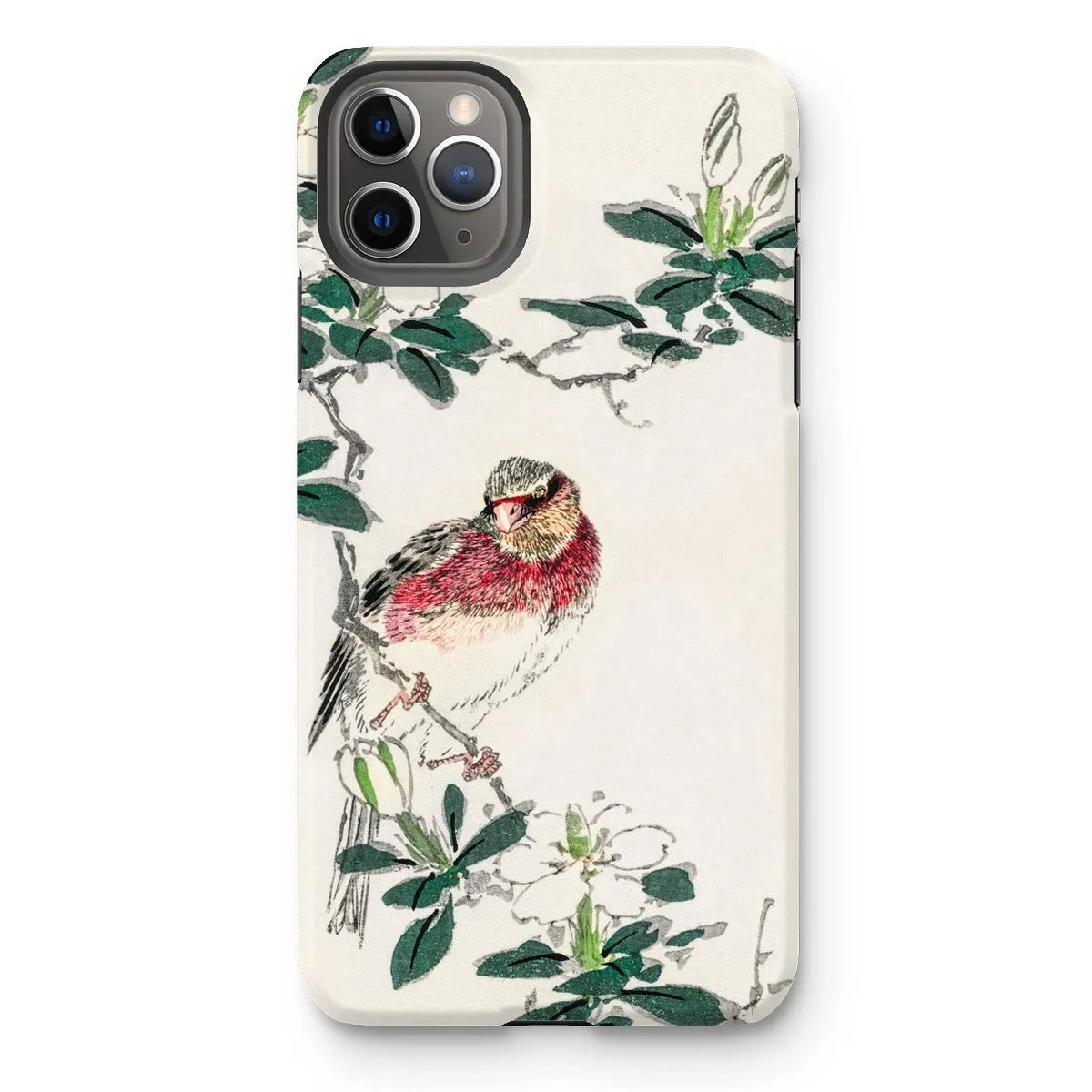 Japanese Rosefinch Bird Art Phone Case - Numata Kashu - Iphone 11 Pro Max / Matte - Mobile Phone Cases - Aesthetic Art
