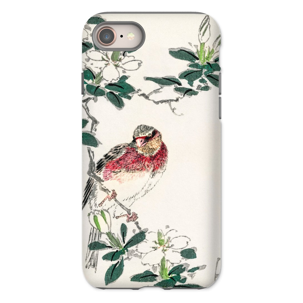 Japanese Rosefinch Numata Kashu Iphone Case, 8 / Matte, Phone Case Delicate Illustration Red Breasted Bird Perched Among