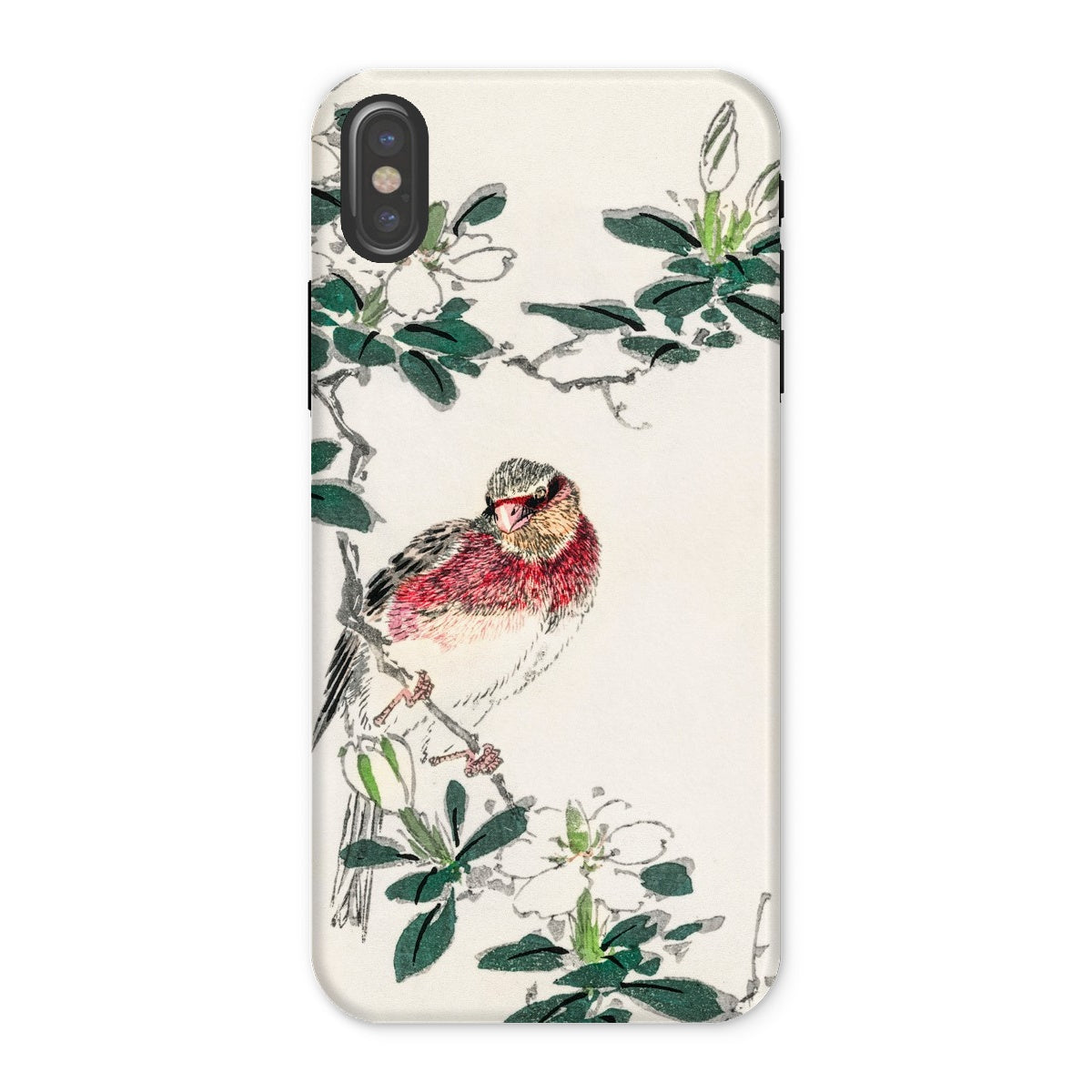 Japanese Rosefinch Numata Kashu Iphone Case, x / Matte, Phone Case Delicate Illustration Red Breasted Bird Perched Among