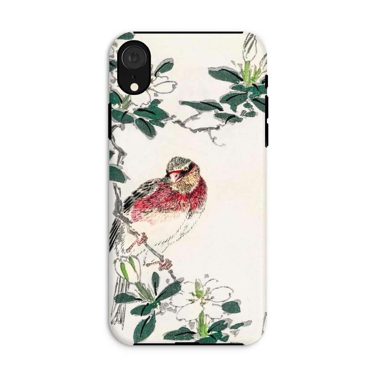 Japanese Rosefinch Numata Kashu Iphone Case, Xr / Matte, Phone Case Colorful Bird Perched Among Green Leaves