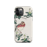 Japanese Rosefinch - Numata Kashu Phone Case Iphone 12 Pro / Matte Bird-themed Phone Case Numata Kashu, Scarlet-breasted Finch Perches,