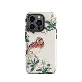 Japanese Rosefinch - Numata Kashu Phone Case Iphone 14 Pro / Matte Bird-themed Phone Case Numata Kashu, Scarlet-breasted Finch Perches,