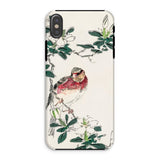 Japanese Rosefinch - Numata Kashu Phone Case Iphone Xs / Matte Phone Case Delicate Illustration Red-breasted Bird Perched Among Numata