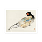 Peregrine Falcon - Kōno Bairei Meiji Era Bird Art Print Posters Prints & Visual Artwork