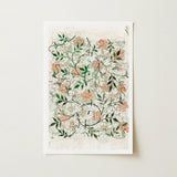 Jasmine - William Morris British Floral Textile Art Print / Canvas Rectangular Intricate Design Clusters Peach-colored Morris’s, Beguiling,