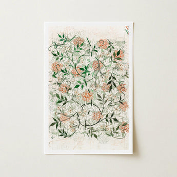 Jasmine - William Morris British Floral Textile Art Print / Canvas Rectangular Intricate Design Clusters Peach-colored Morris’s, Beguiling,