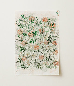 Rectangular Notebook Delicate Floral Design Clusters Peach-colored Blossoms William Morris’s Jasmine, Beguiling Art Print, Botanical