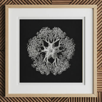 Jellyfish - Ernst Haeckel Ocean Life Art Print, 12x12’’ / 31x31cm / Natural Frame / 2’’ Matboard, Framed Black White Print Tree-like Mandala