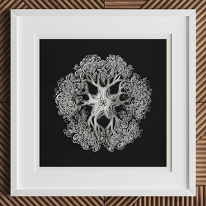 Jellyfish - Ernst Haeckel Ocean Life Art Print, 12x12’’ / 31x31cm / White Frame / 2’’ Matboard, Framed Black White Tree-like Mandala Art
