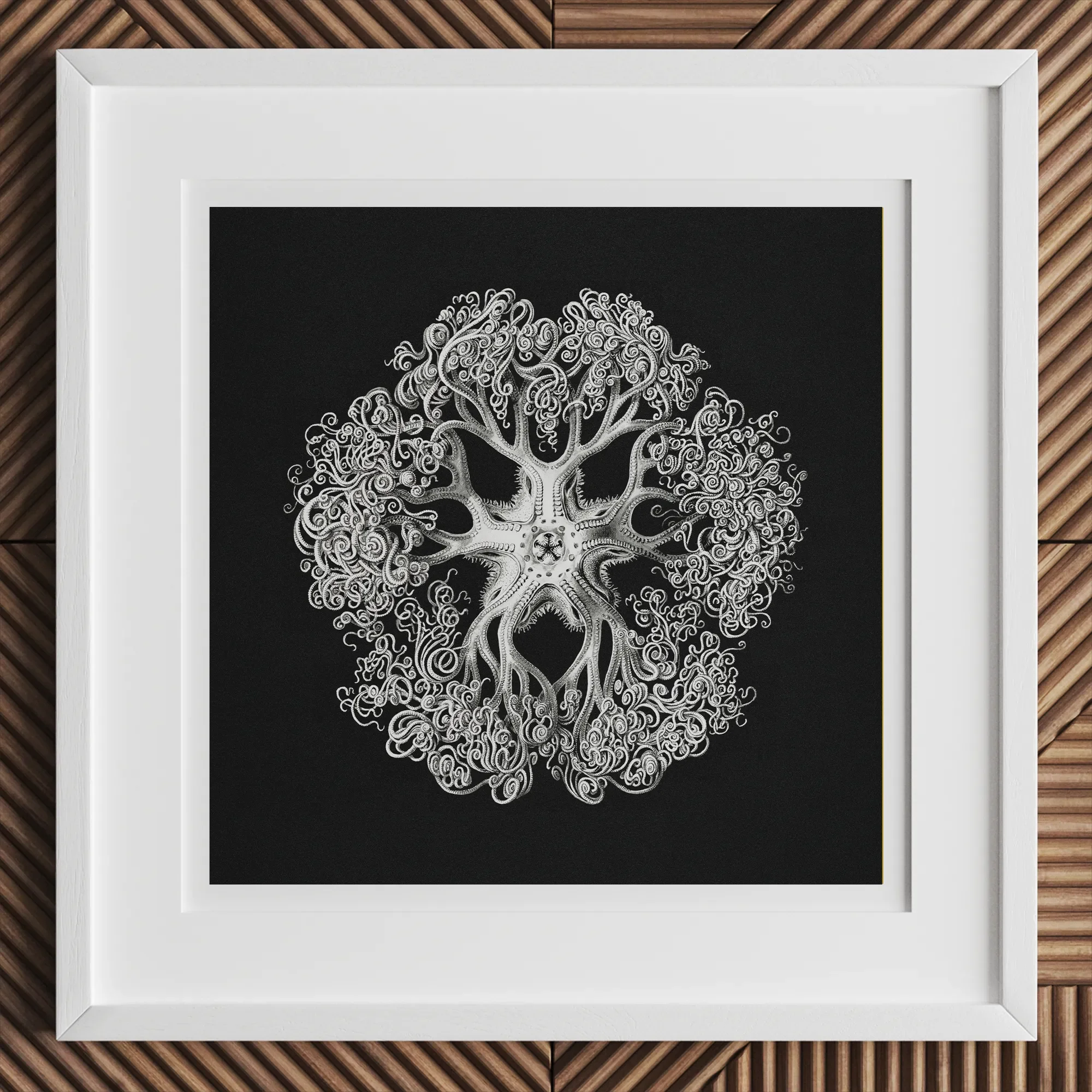 Jellyfish - Ernst Haeckel Ocean Life Art Print, 12x12’’ / 31x31cm / White Frame, Framed Black White Tree-like Mandala Art Print