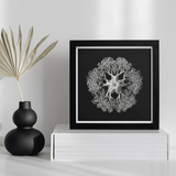 Jellyfish - Ernst Haeckel Ocean Life Art Print, Black White Framed Artwork Intricate Circular Jellyfish Design