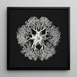Jellyfish - Ernst Haeckel Ocean Life Art Print / Canvas, 12x12’’ / 31x31cm / Black Frame, Posters Prints & Visual Artwork, Toby Leon