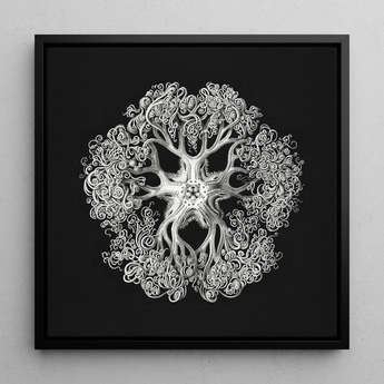 Jellyfish - Ernst Haeckel Ocean Life Art Print / Canvas, 12x12’’ / 31x31cm / Black Frame, Posters Prints & Visual Artwork, Toby Leon