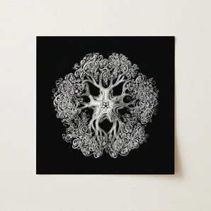 Jellyfish - Ernst Haeckel Ocean Life Art Print / Canvas, 12x12’’ / 31x31cm / Unframed / no Border, Posters Prints & Visual Artwork, Toby