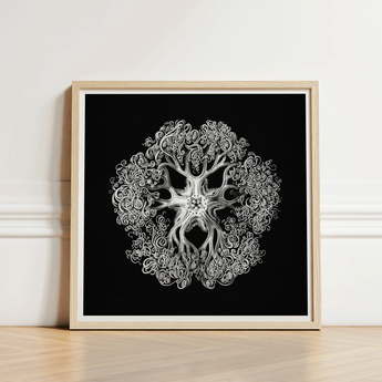 Jellyfish - Ernst Haeckel Ocean Life Art Print / Canvas Framed Black-and-white Artwork Intricate Symmetrical Design Stylized Tree