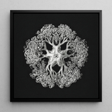 Jellyfish - Ernst Haeckel Ocean Life Art Print / Canvas Black-framed Artwork Detailed Silver-toned Intricate Design Ornate Sea Mesmerizing