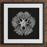 Jellyfish - Ernst Haeckel Ocean Life Art Print / Canvas Black-framed Artwork Intricate Silver-toned Mandala-like Design Black Background