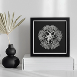 Jellyfish - Ernst Haeckel Ocean Life Art Print / Canvas Black White Framed Artwork Intricate Circular Jellyfish Design Mesmerizing