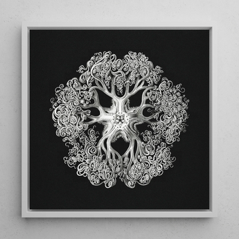 Jellyfish - Ernst Haeckel Ocean Life Art Print / Canvas Framed Black-and-white Artwork Intricate Symmetrical Design Stylized Sea