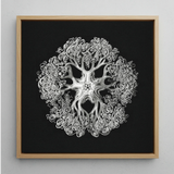 Jellyfish - Ernst Haeckel Ocean Life Art Print / Canvas Silver Intricately Detailed Octopus-themed Artwork Light Wood Frame Mesmerizing