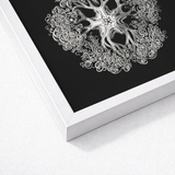 Jellyfish - Ernst Haeckel Ocean Life Art Print / Canvas White-framed Artwork Intricate Silver-toned Mandala Design Black Background