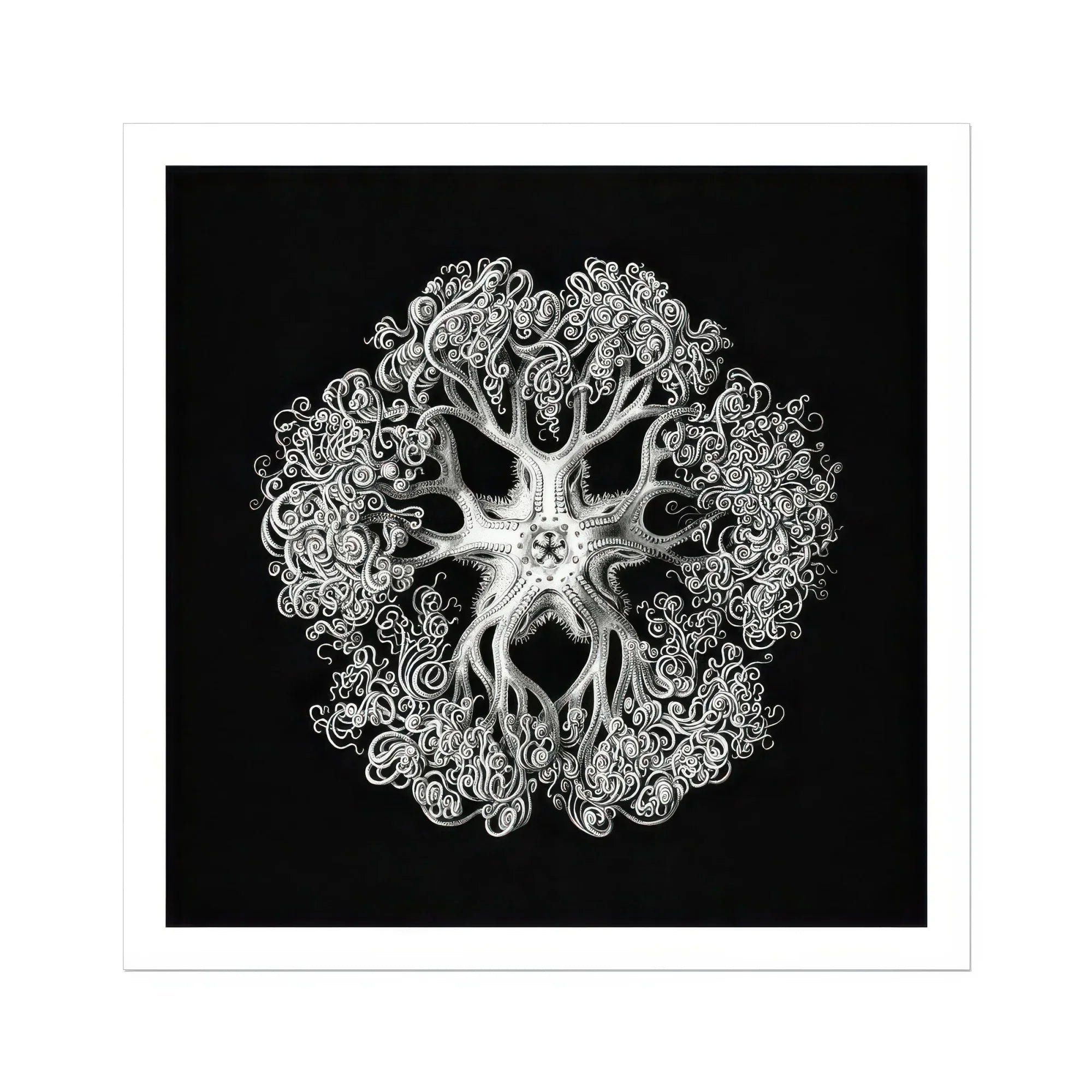 Jellyfish - Ernst Haeckel Ocean Life Art Print Posters Prints & Visual Artwork