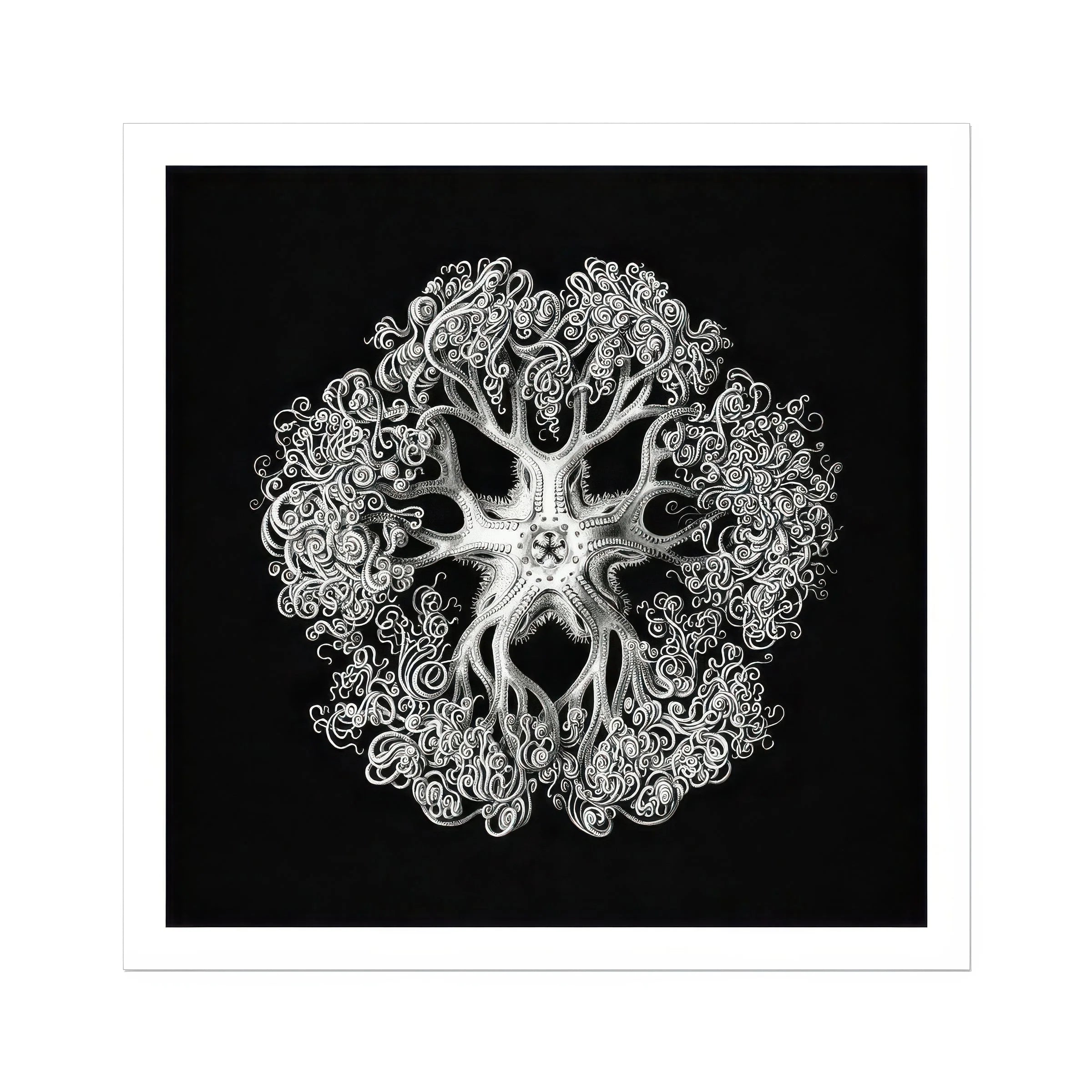 Jellyfish - Ernst Haeckel Ocean Life Art Print Posters Prints & Visual Artwork