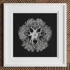 Jellyfish - Ernst Haeckel Ocean Life Art Print Posters Prints & Visual Artwork