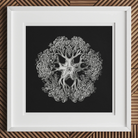 Jellyfish Ernst Haeckel Ocean Life Art Print, Intricate White Jellyfish Illustration Ornate Tentacles Patterns Black