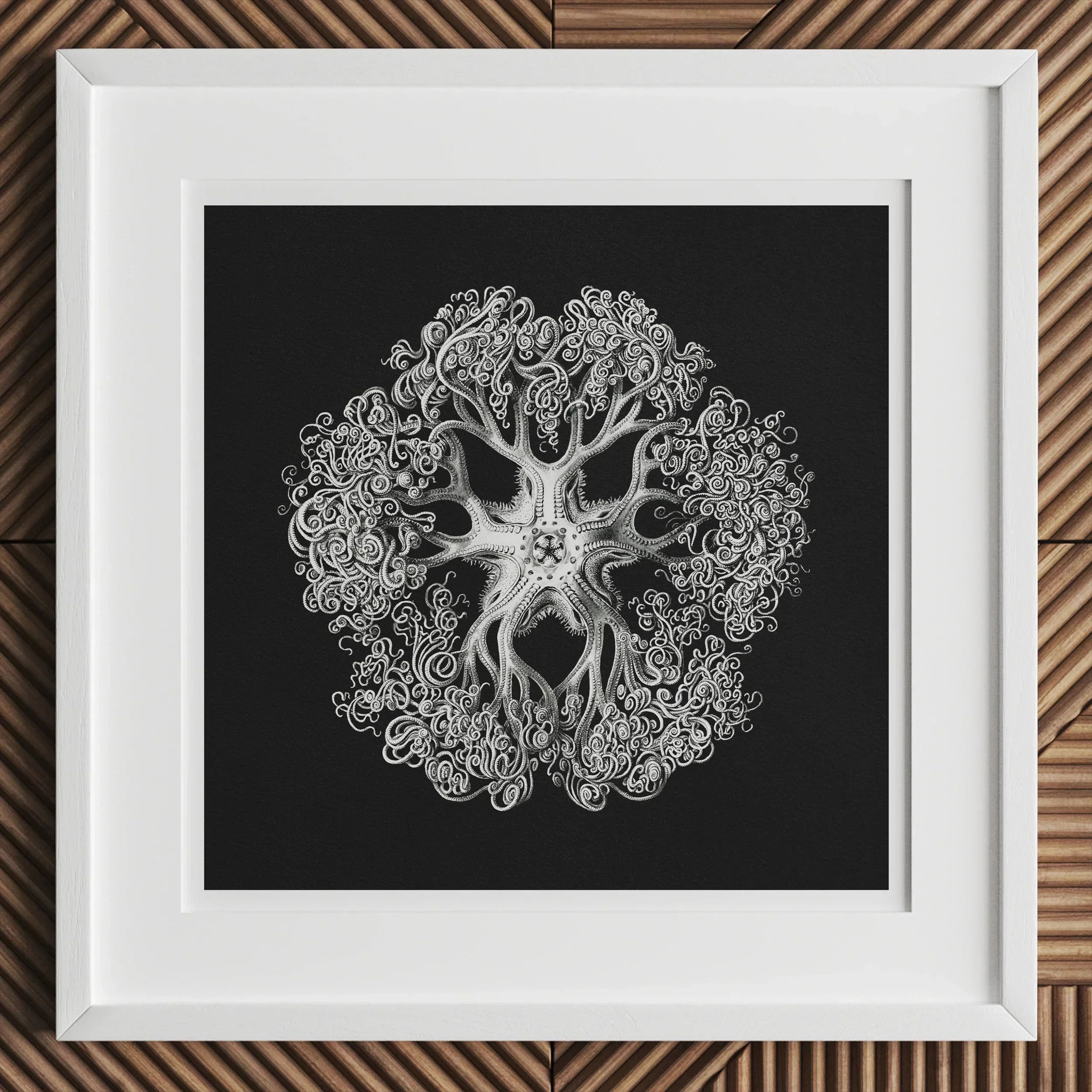 Jellyfish Ernst Haeckel Ocean Life Art Print, Intricate White Jellyfish Illustration Ornate Tentacles Patterns Black