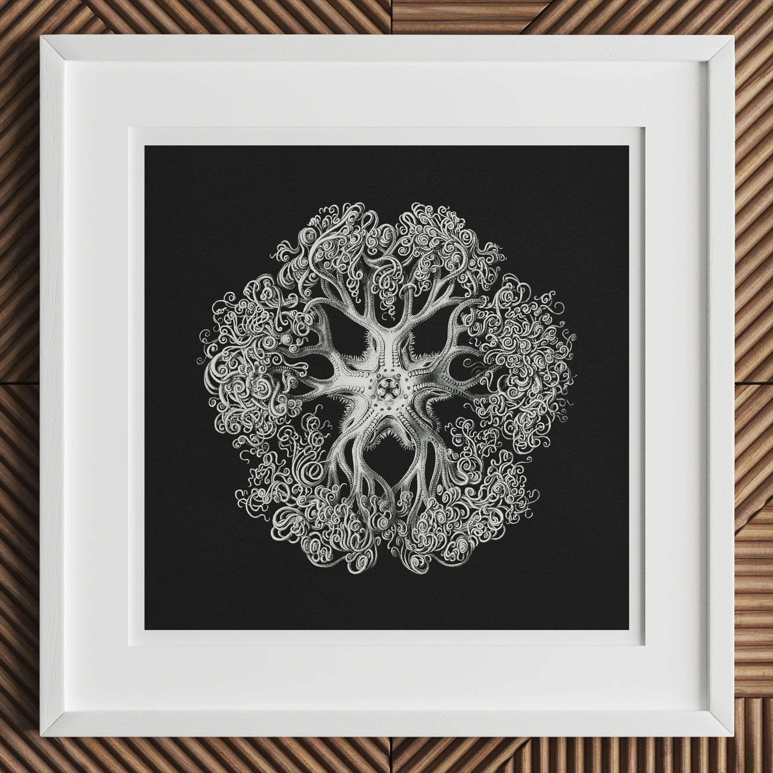 Jellyfish - Ernst Haeckel Ocean Life Art Print, Intricate White Jellyfish Illustration Ornate Tentacles Patterns Black