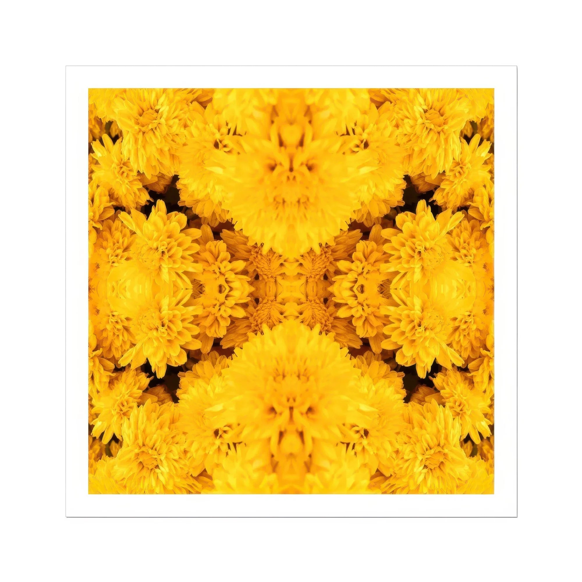 Gold Rush - Chrysanthemum Op Art Print Posters Prints & Visual Artwork