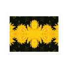 Tweedledum - Chrysanthemum Op Art Print Posters Prints & Visual Artwork