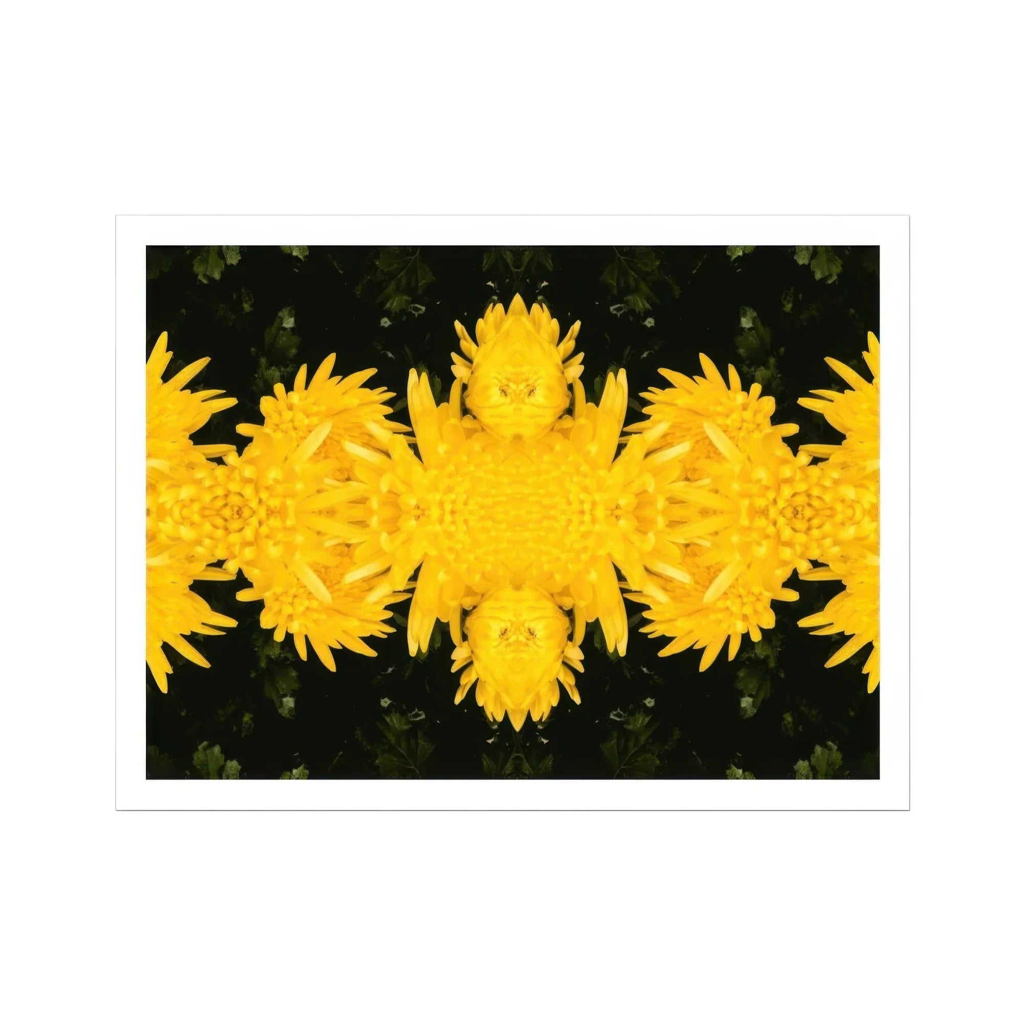 Tweedledum - Chrysanthemum Op Art Print Posters Prints & Visual Artwork