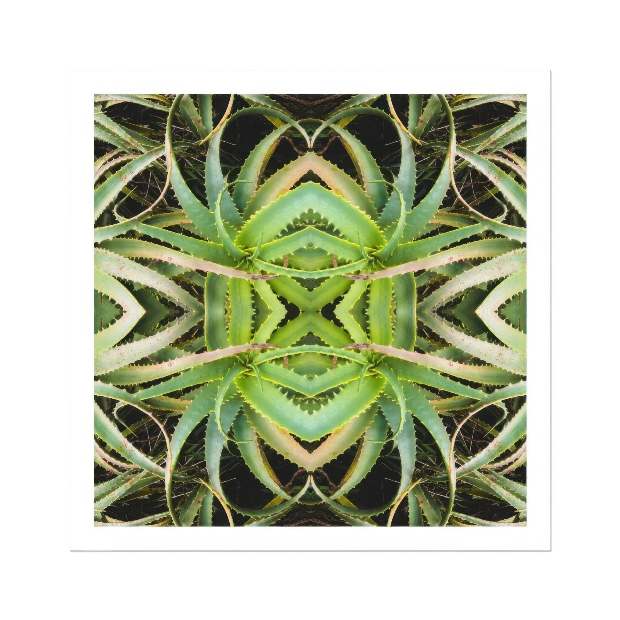 Spiked too - Trippy Aloe Vera Botanical Op Art Print Posters Prints & Visual Artwork