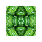 Pitter Splatter - Tropical Leaf Op Art Print Posters Prints & Visual Artwork