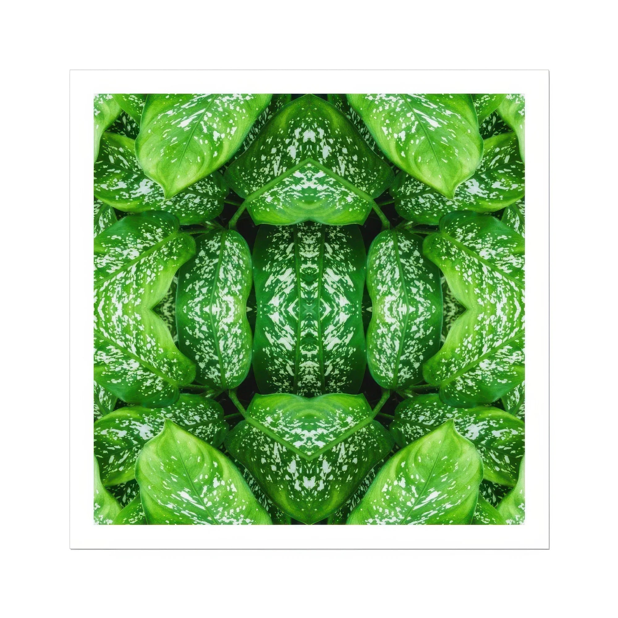 Pitter Splatter - Tropical Leaf Op Art Print Posters Prints & Visual Artwork