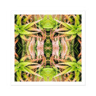 Centre Stage - Trippy Cactus Art Print Posters Prints & Visual Artwork