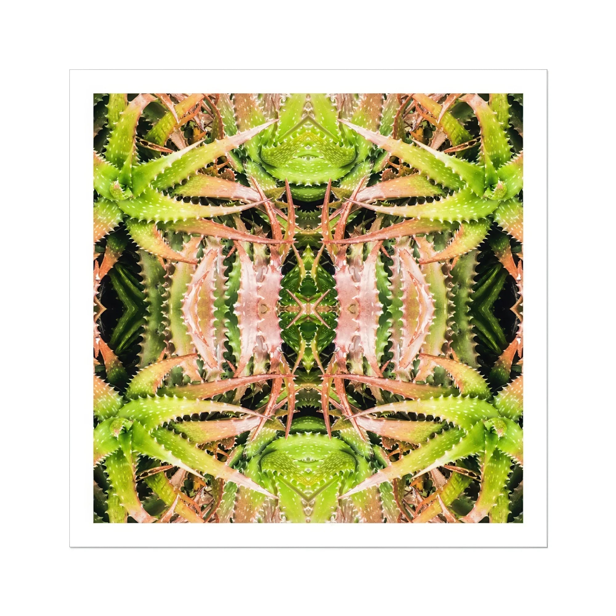 Centre Stage - Trippy Cactus Art Print Posters Prints & Visual Artwork