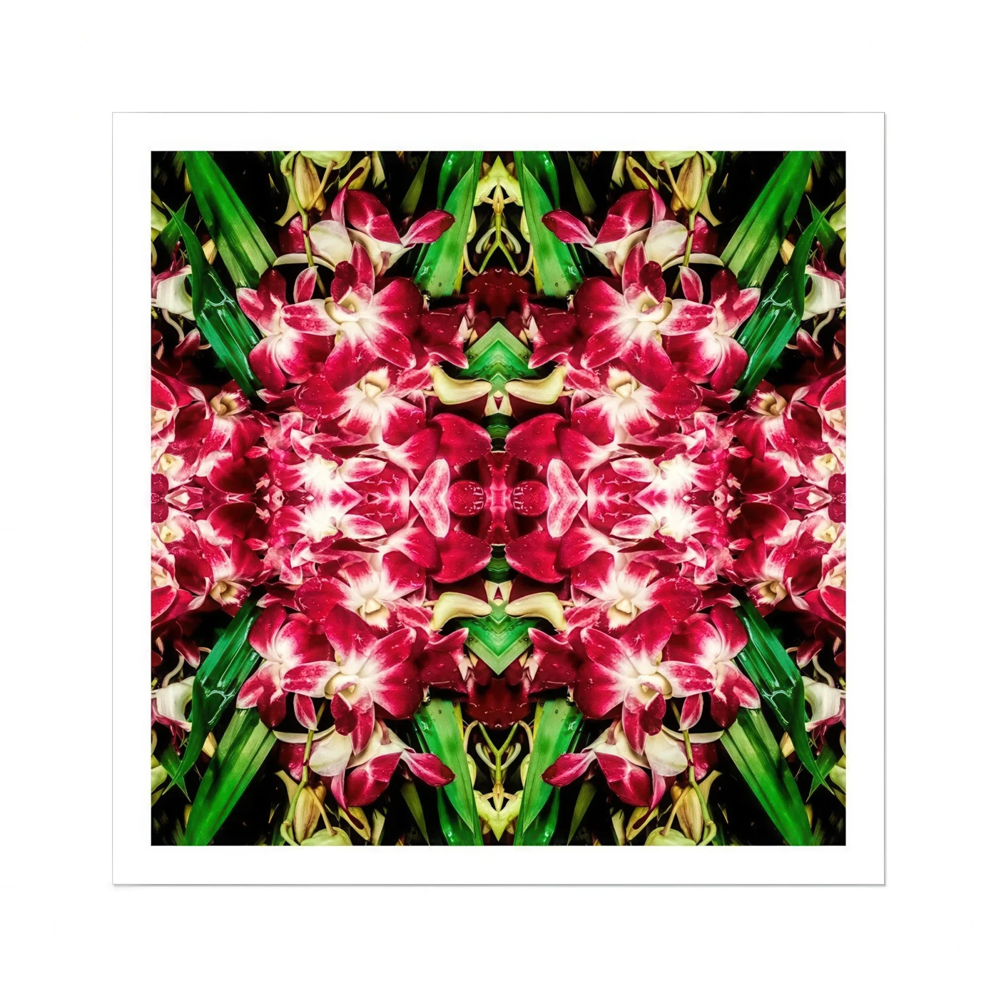 Ruby Reds - Bkk Flower Market Orchid Op Art Print Posters Prints & Visual Artwork