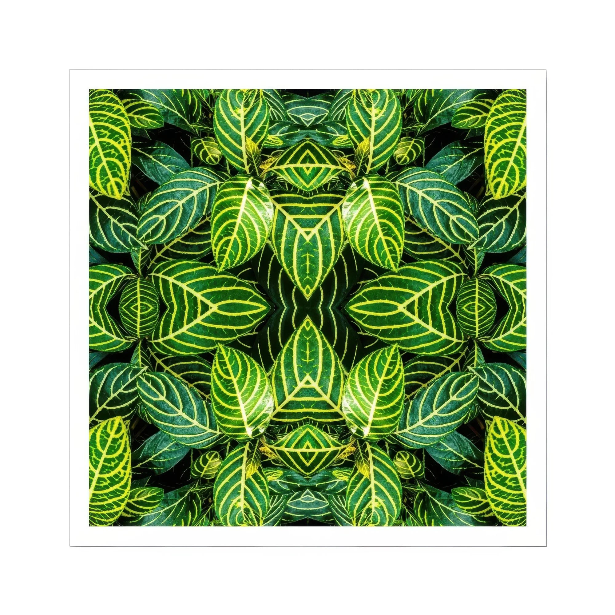 Just the Headlines - Trippy Fractal Leaf Art Print Posters Prints & Visual Artwork