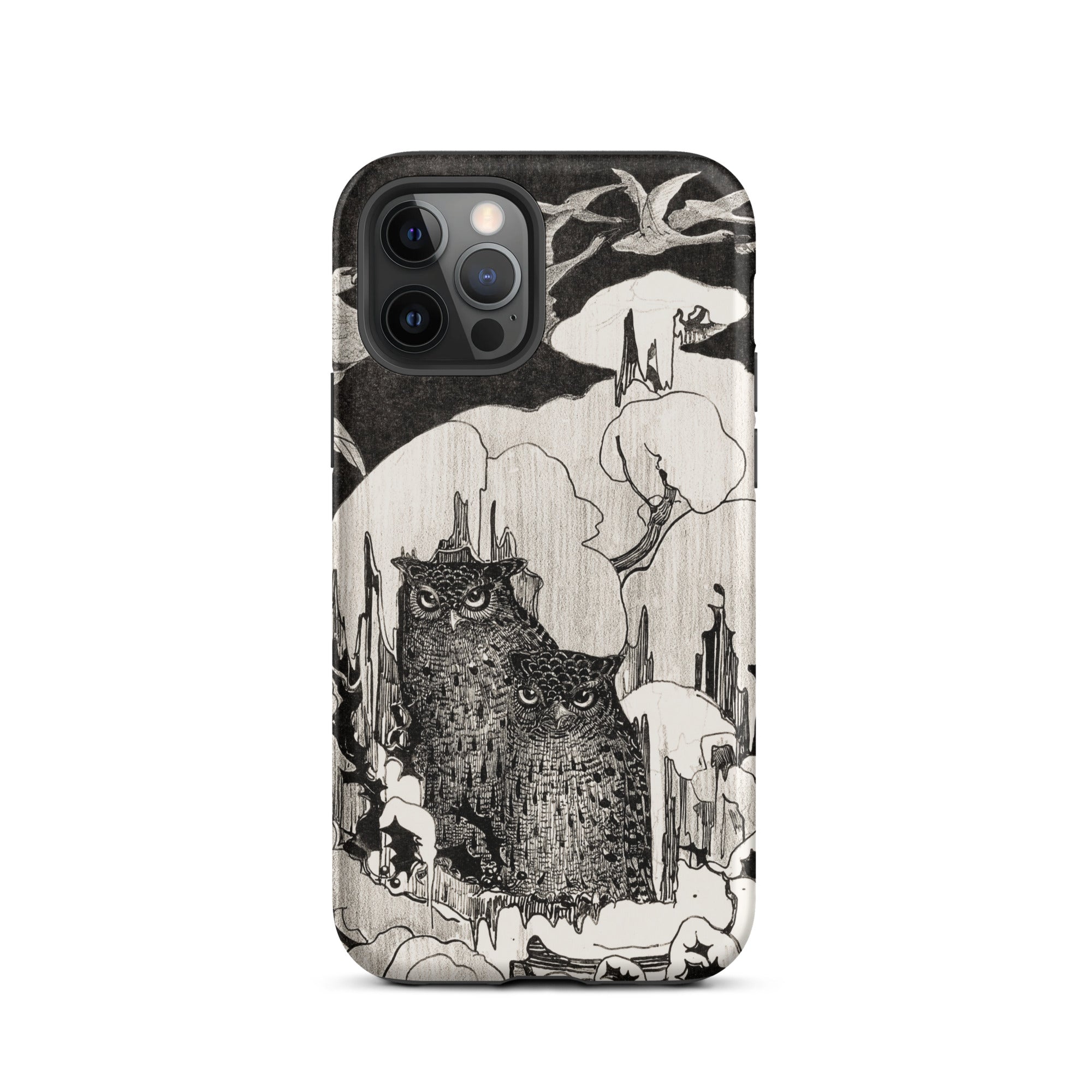Kerstnacht Theo Van Hoytema Iphone Case, 12 Pro / Matte, Owl Themed Phone Case