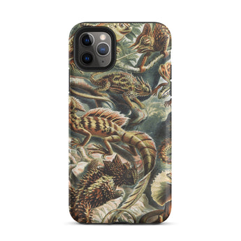 Lacertilia - Ernst Haeckel Lizard Taxonomy Iphone Case, 11 Pro Max / Matte, Lizard-patterned Phone Case