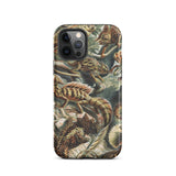 Lacertilia - Ernst Haeckel Lizard Taxonomy Iphone Case, 12 Pro / Matte, Lizard-patterned Phone Case